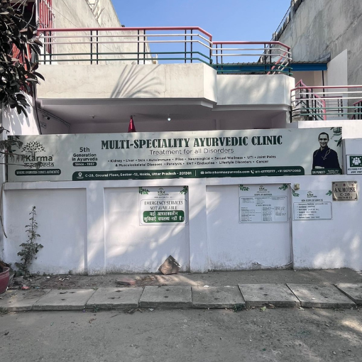 karma ayurveda noida